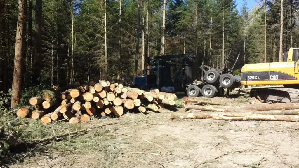 Earthworks Tauranga provides commercial and rural land clearing services. Visit our Land Clearing page.