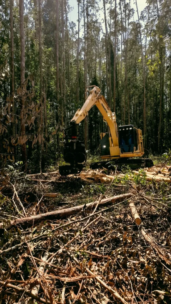 Count on Earthworks Tauranga as your go-to team for all your professional land clearing needs. Learn more on our Land Clearing page.