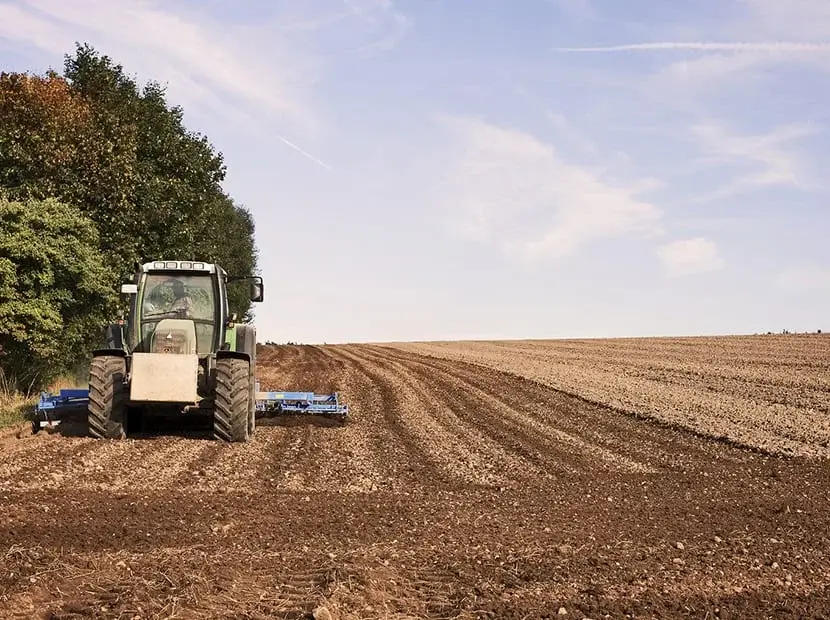 Learn about Earthworks Tauranga's smart and sustainable land clearing services, focused on creating positive long-term impact. Find out more on our Land Clearing page.
