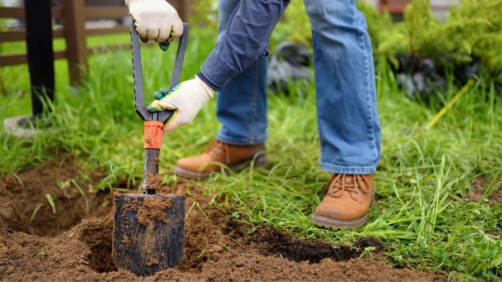 what to do before you dig in nz