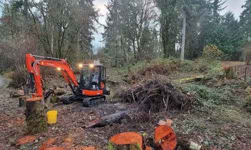Introduction to Earthworks Tauranga’s professional land clearing services. Visit our Land Clearing page for more information. Introduction to Earthworks Tauranga's professional land clearing services. Visit our Land Clearing page for more information.